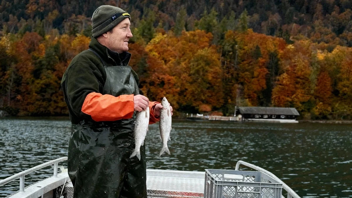 Generationswechsel am Wolfgangsee: Gastronom übernimmt Fischerei